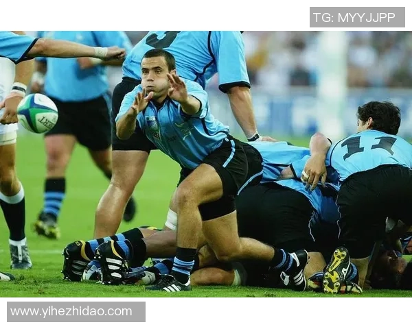 足球希腊的魅力与挑战探索希腊足球文化的历史与未来发展